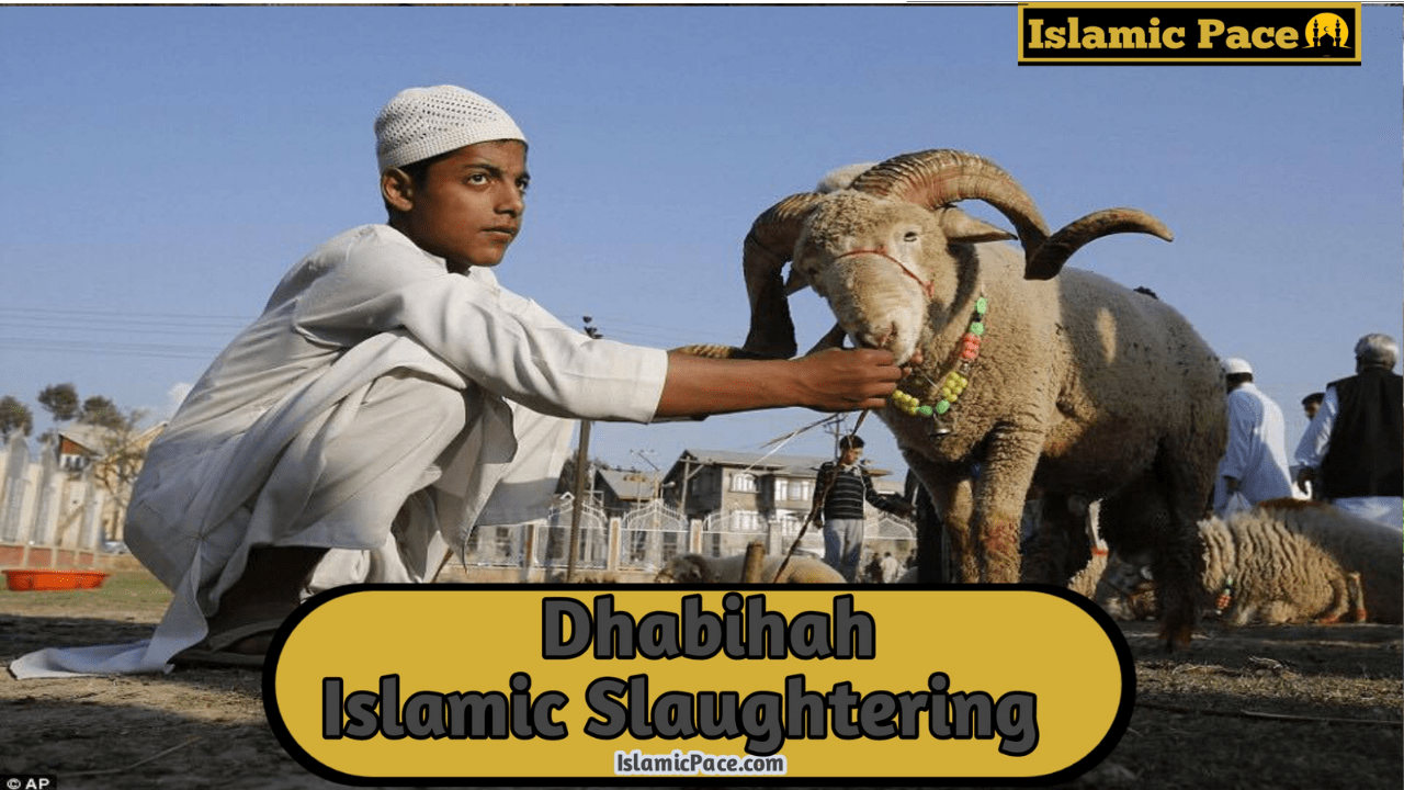 Dhabihah: The Islamic Way of Slaughtering Animals