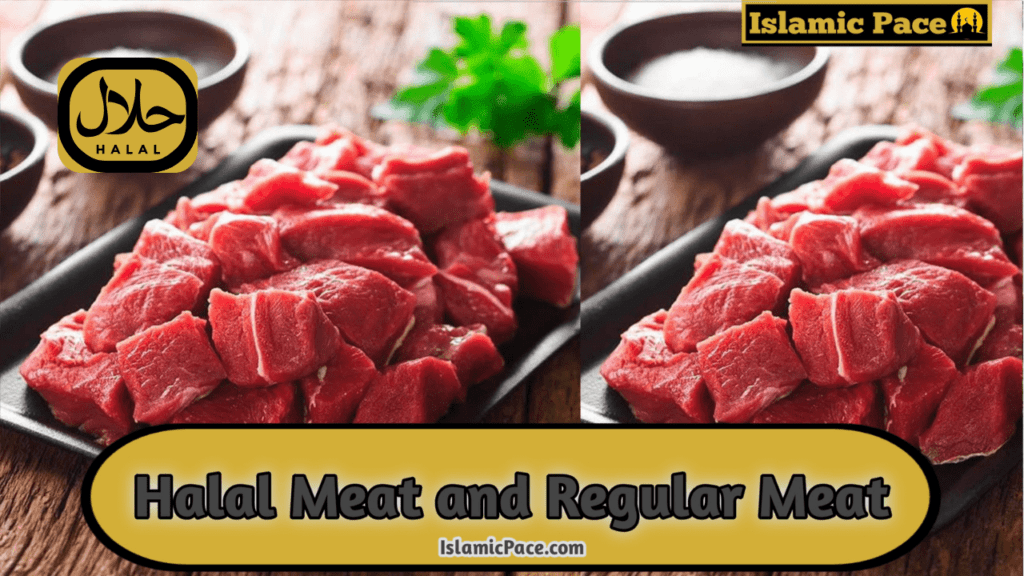 Halal Meat and Regular Meat