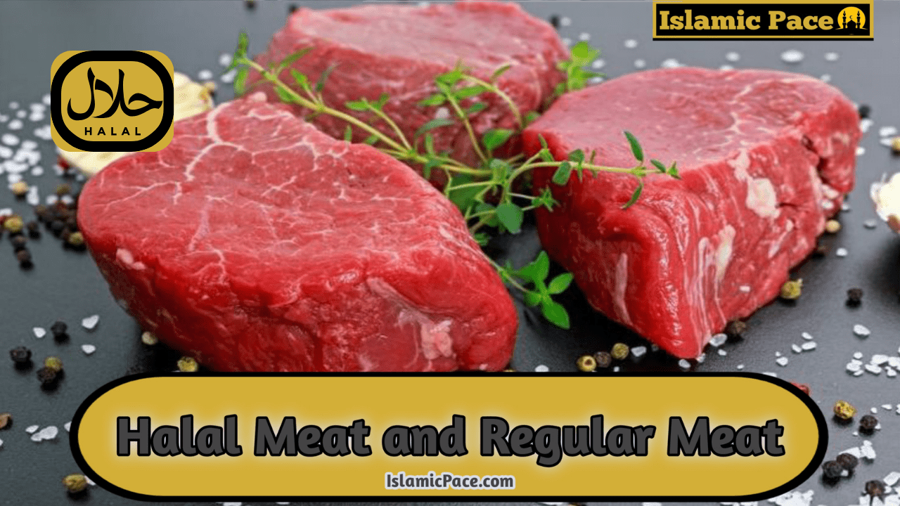 Halal Meat and Regular Meat