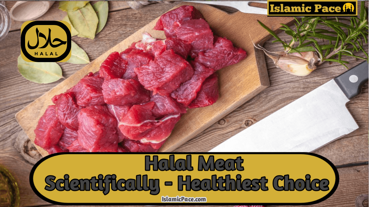 Halal Meat